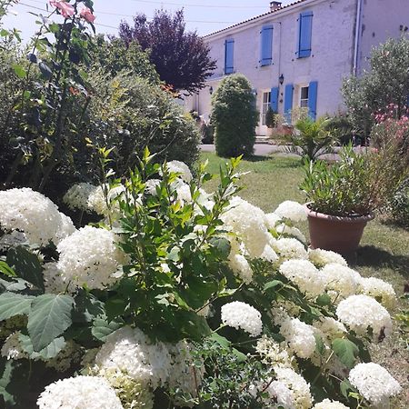 Les Hirondelles Du Paradis 6 Rue Des Oiseaux Panzió Beaulieu-sur-Sonnette Kültér fotó