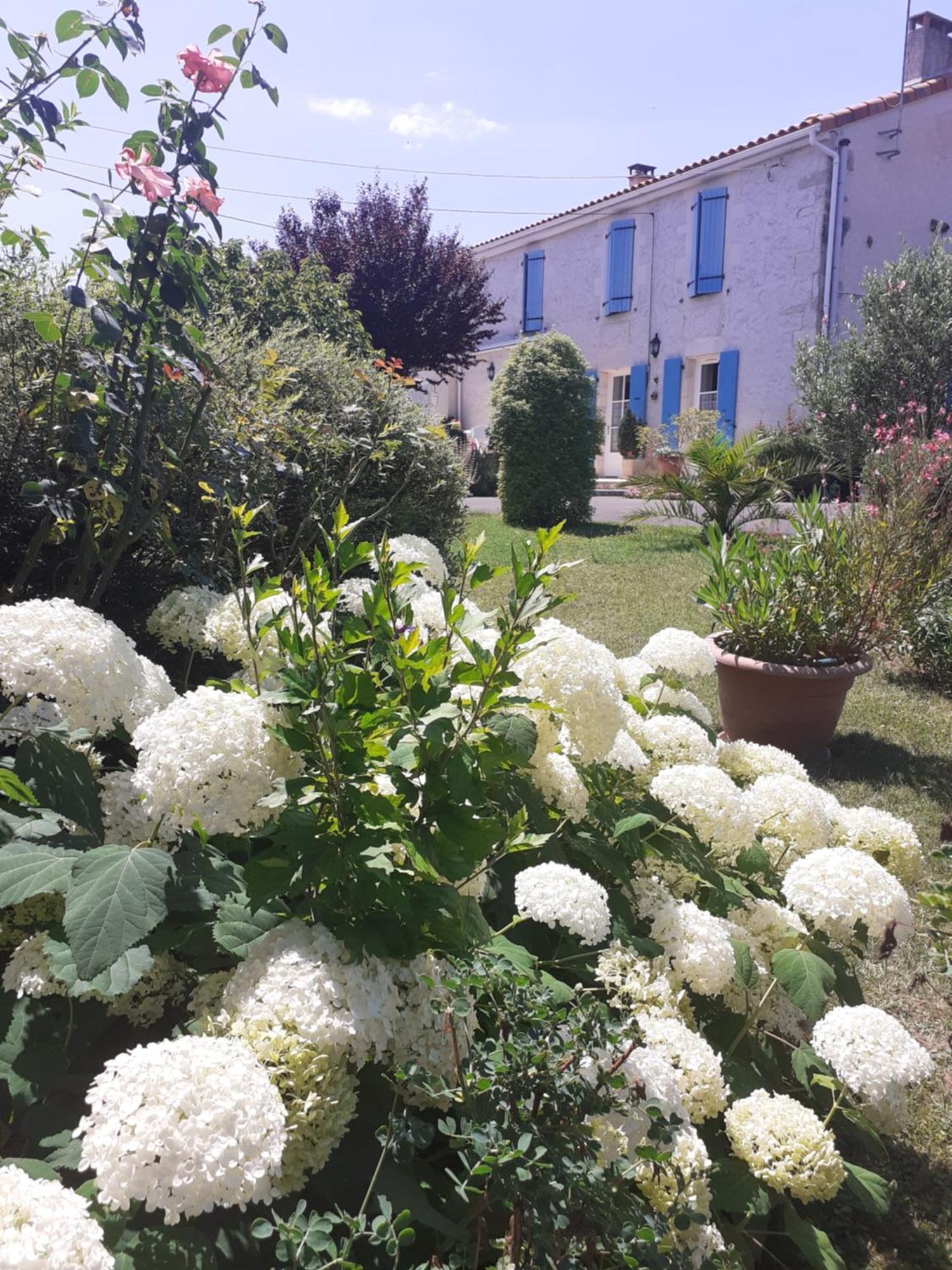 Les Hirondelles Du Paradis 6 Rue Des Oiseaux Panzió Beaulieu-sur-Sonnette Kültér fotó